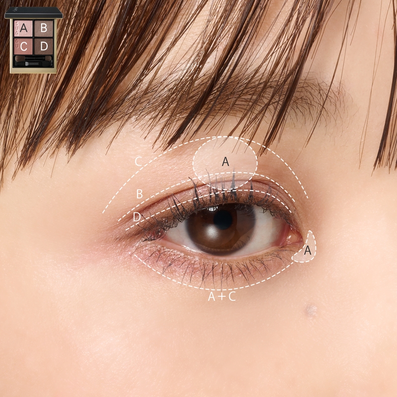 fcbd53e3-fc5a-4bc8-9fa3-